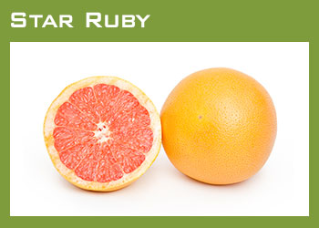 Citrus Growers Image